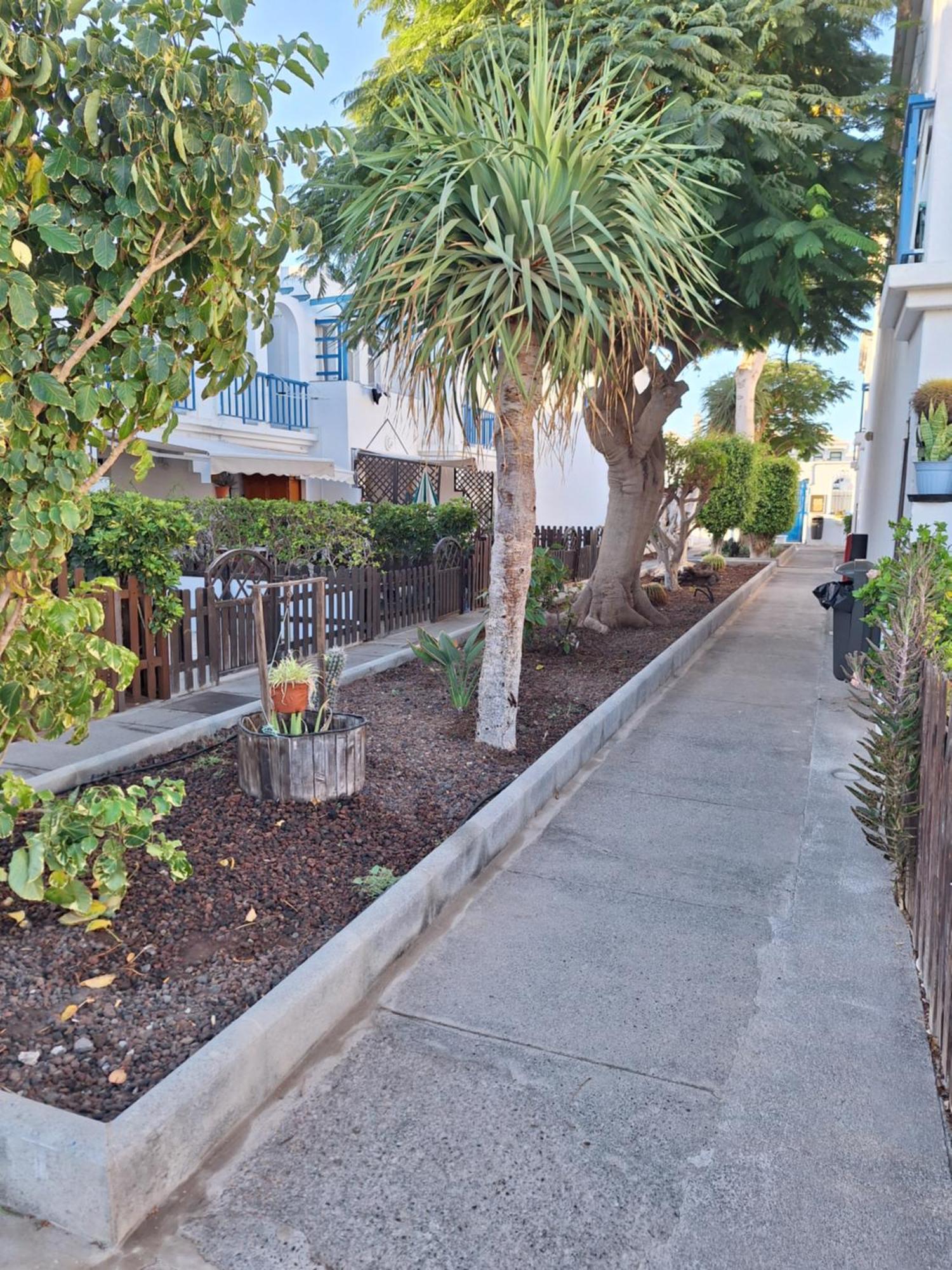Poolfront Bungalow 플라야 델 잉글스 외부 사진